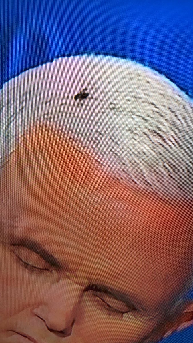 jdbagert's tweet photo. Pence has a fly crawling around in his hair and I’m freaking out!
#VPDebate https://t.co/LYkdDPp1S6