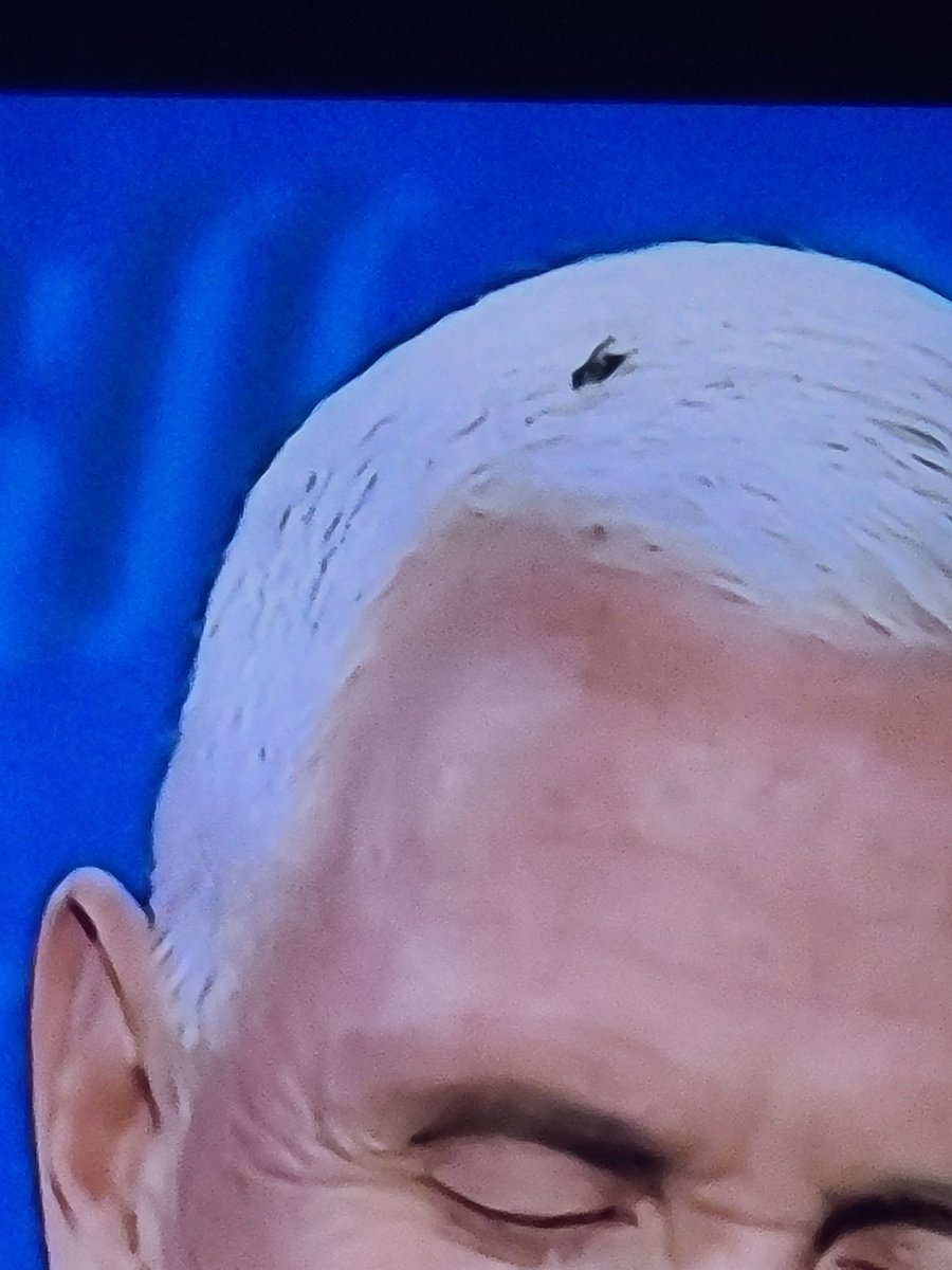 cbhare's tweet image. No flies on Pence. Oh wait..