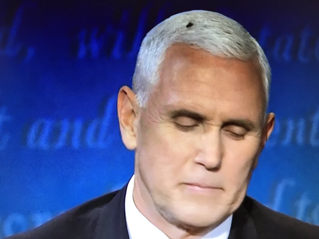 the_hango's tweet photo. @VP has a fly on his head...anyone else smell bullshit other than that fly? #Debates2020 💩 https://t.co/MpN17JFHB4