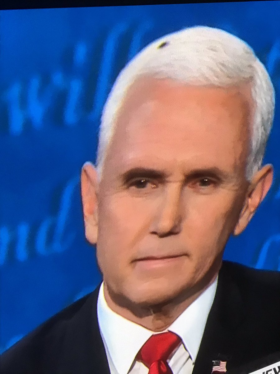 LisaShawcroft's tweet photo. This MFer @VP has the audacity to imply America is not structurally racist! Then a fly lands on his head like the pile of shit that he is. https://t.co/T0FT0yZMpP