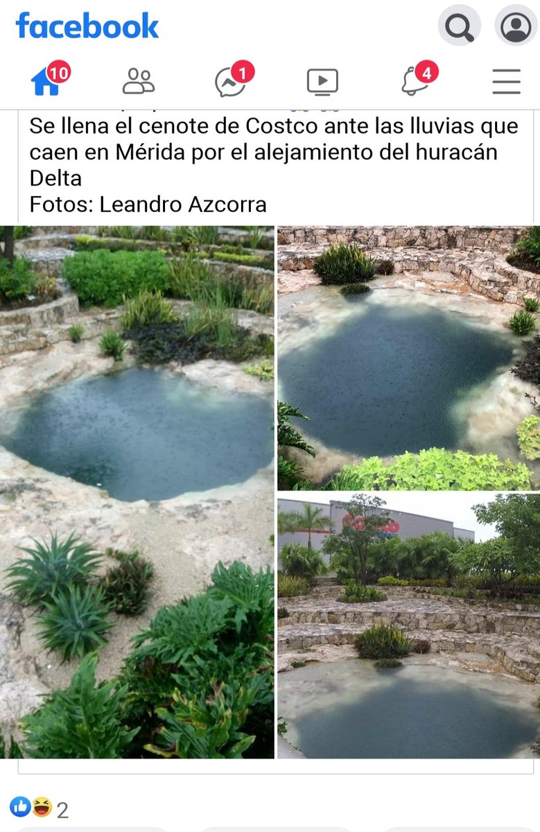 fatimatecpool's tweet photo. Así rebosan los acuíferos en la ciudad de Mérida
Cenote del Costco
#DELTA2020 https://t.co/ZlcM3PVghF