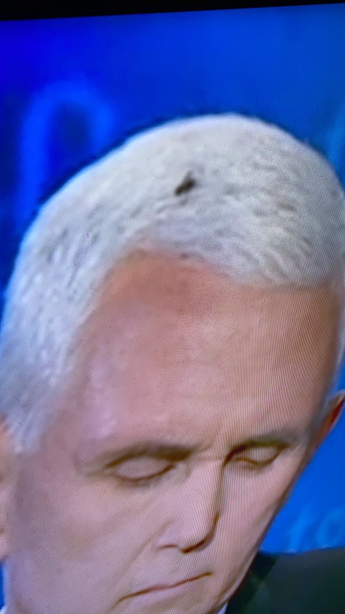 TrumpsDiary2's tweet photo. THERES A FLY ON YOUR HEAD YOURE MAKING US LOOK FUCKING RIDICULOUS GET IT OFF @Mike_Pence https://t.co/K2iAeeibSb