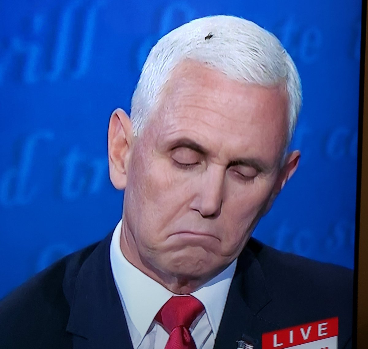 KevinSchini's tweet image. Pretty fly for a white-haired guy

#VPDebate
#VPDebate2020