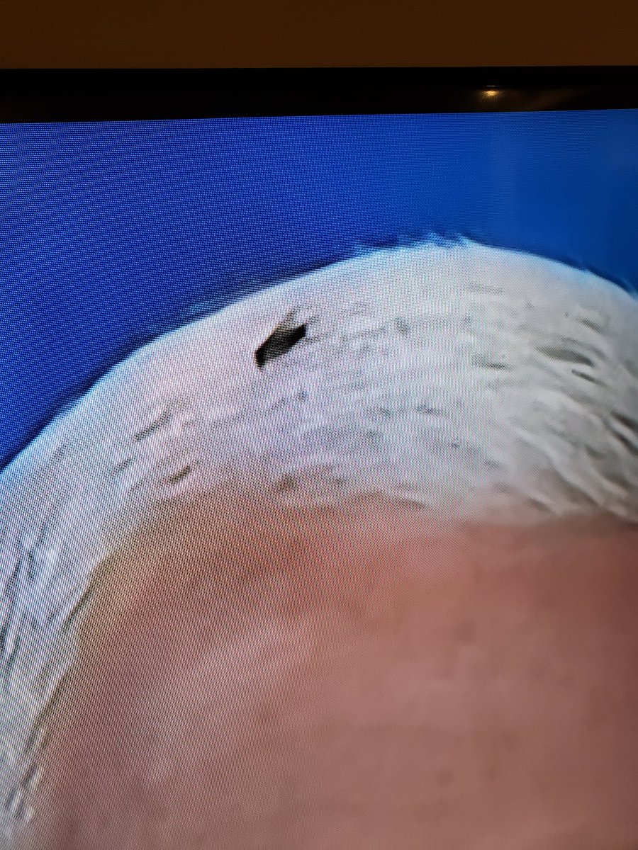 KevinSchini's tweet image. Pretty fly for a white-haired guy

#VPDebate
#VPDebate2020