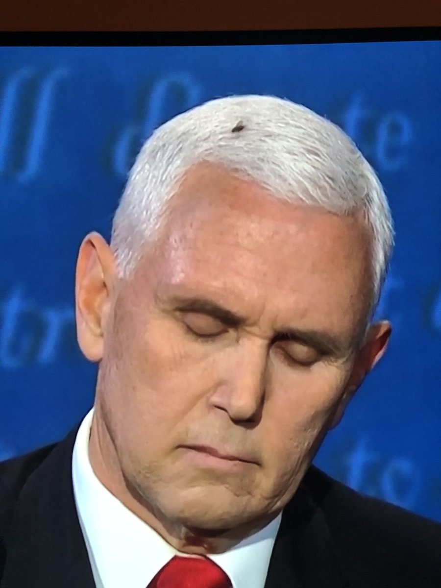 JeremiahBudzik tweet media