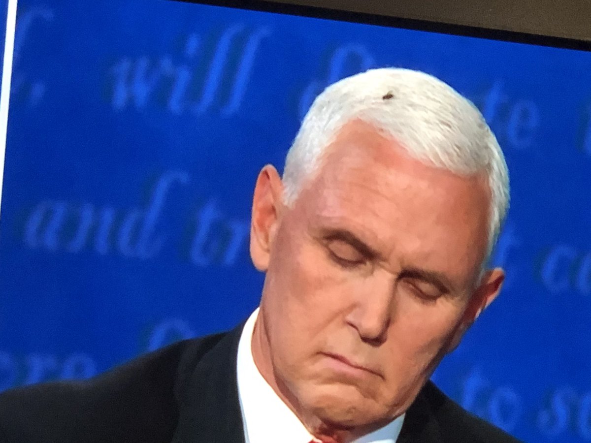 neernoi's tweet photo. A fly is on the head of @Mike_Pence. He must have something!!! #Debates2020 https://t.co/tfViWAD1JO