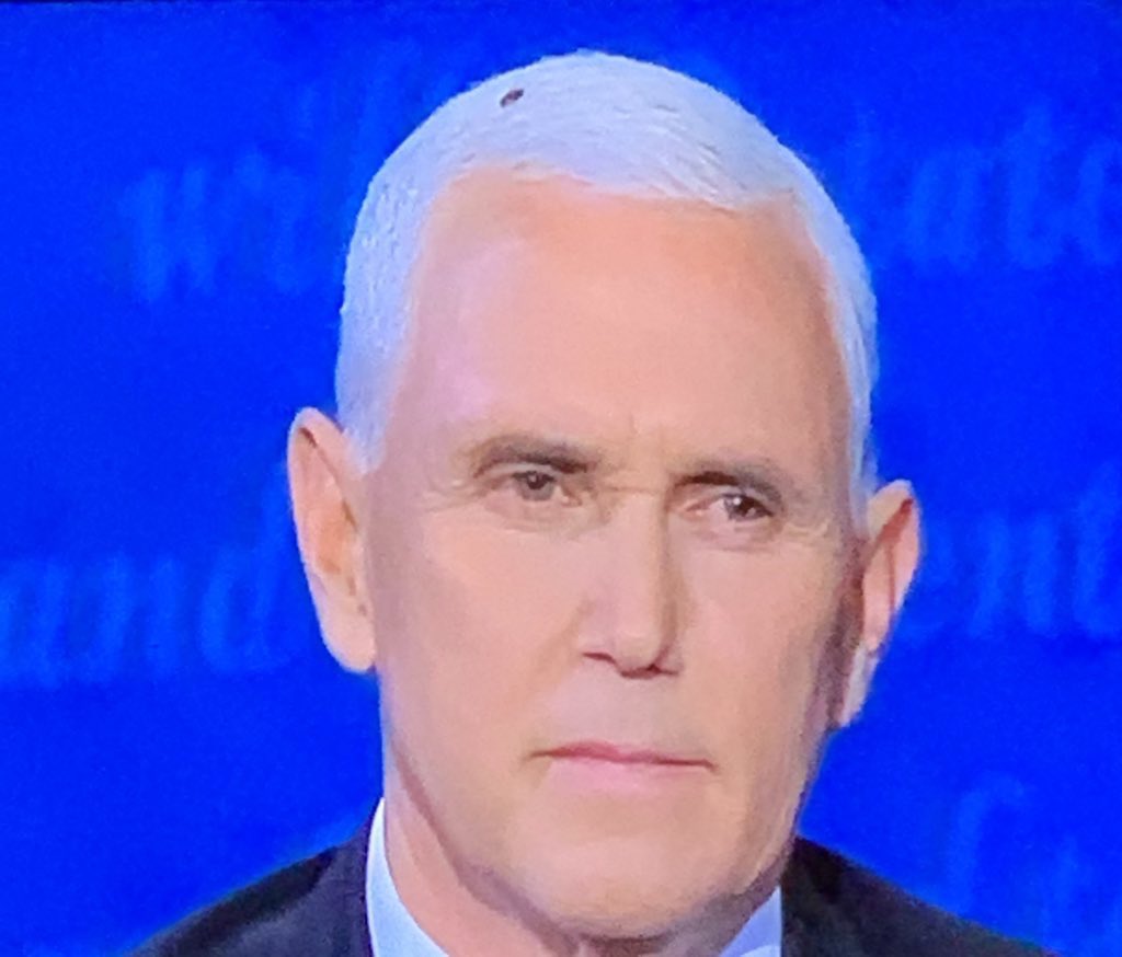 anagrace's tweet photo. There seems to be a fly in the ointment....#VPdebate https://t.co/rPFS9wd8IK