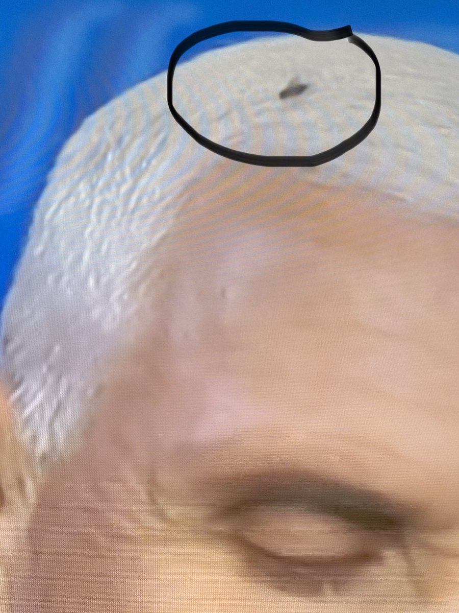 Fly challenges! #VPDebate