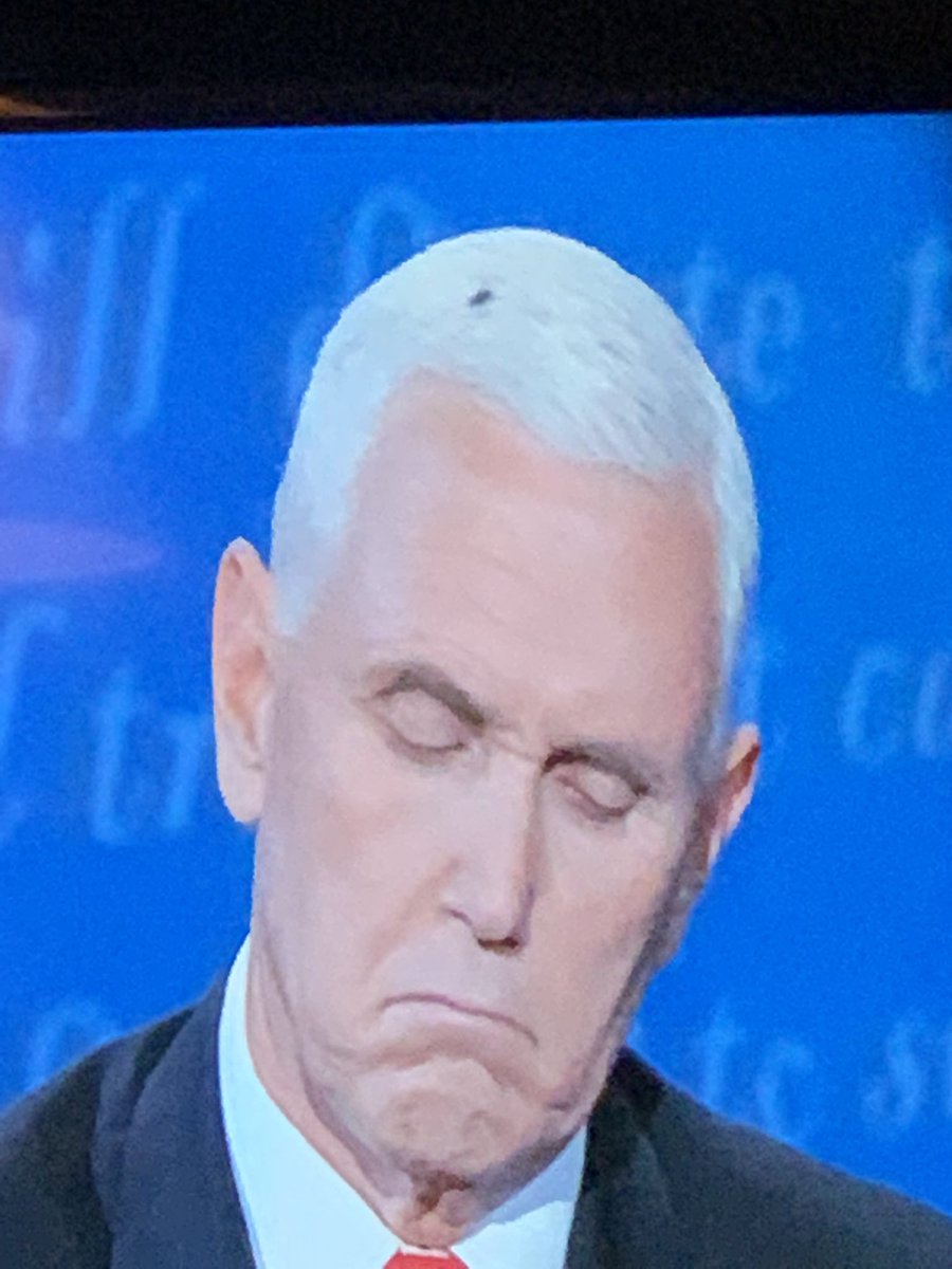 #rbgstrikesagain #flyinshit #bugsspeaklouderthanwords