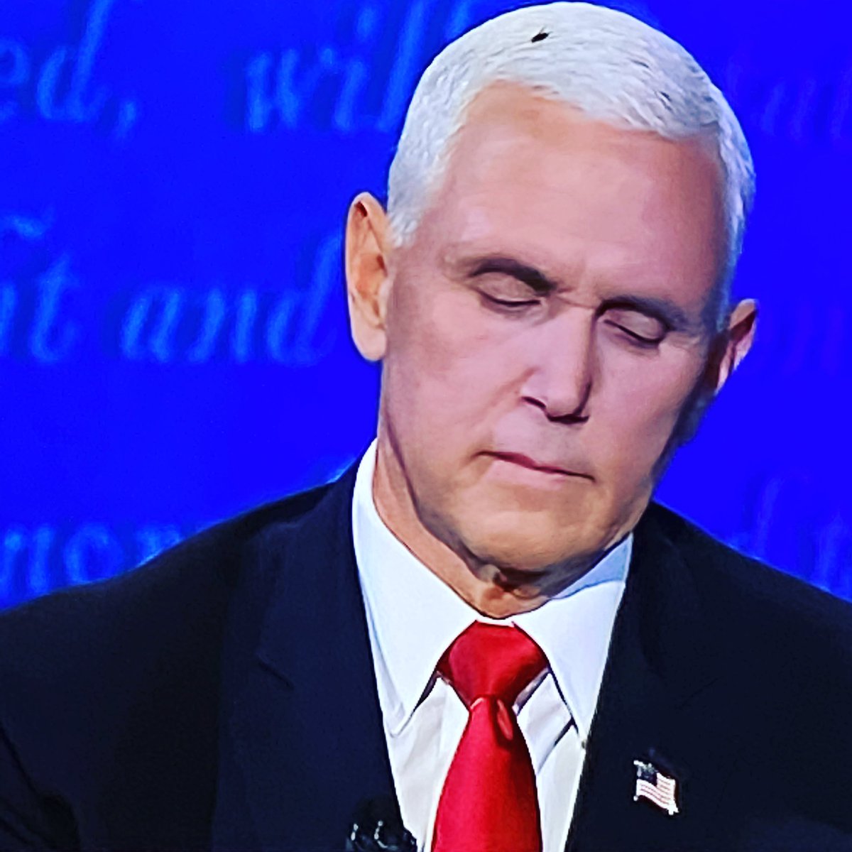 Jue_Musik's tweet image. That fly is there letting us know @Mike_Pence is full of 💩