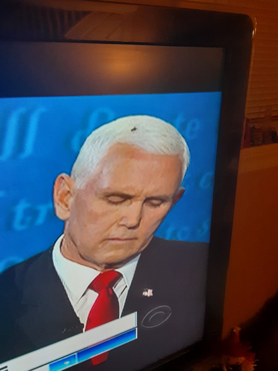 JGreenMEd1's tweet photo. Flies are attracted to shit. Well played fly. @VP #NotAllHeroesWearCapes #HeroFly #PenceIsShit https://t.co/2JwXUgqFng