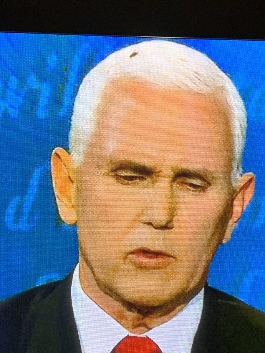 alienokapi's tweet image. THE FLY. ⚰️ #VPDebate #VPDebate2020 #vpdebatefly #debatefly