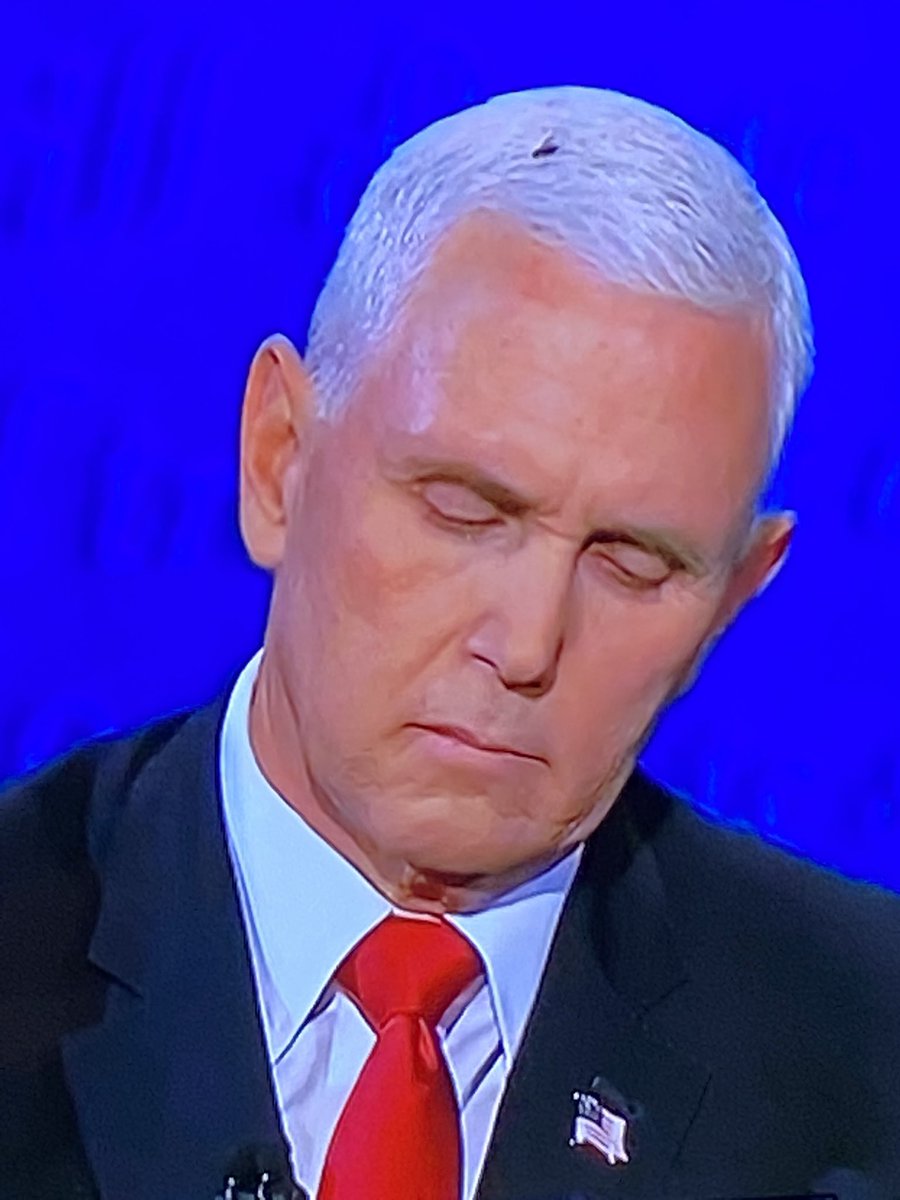 ChazBono's tweet photo. Pence is so full of shit in this debate, he’s drawing flies. https://t.co/d2YaUe0GQS