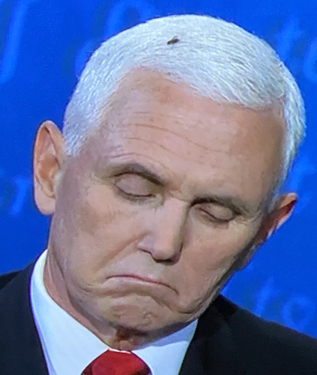 tashtimes's tweet photo. Mmm, 💩 #debatefly https://t.co/8OZCf0lGIC