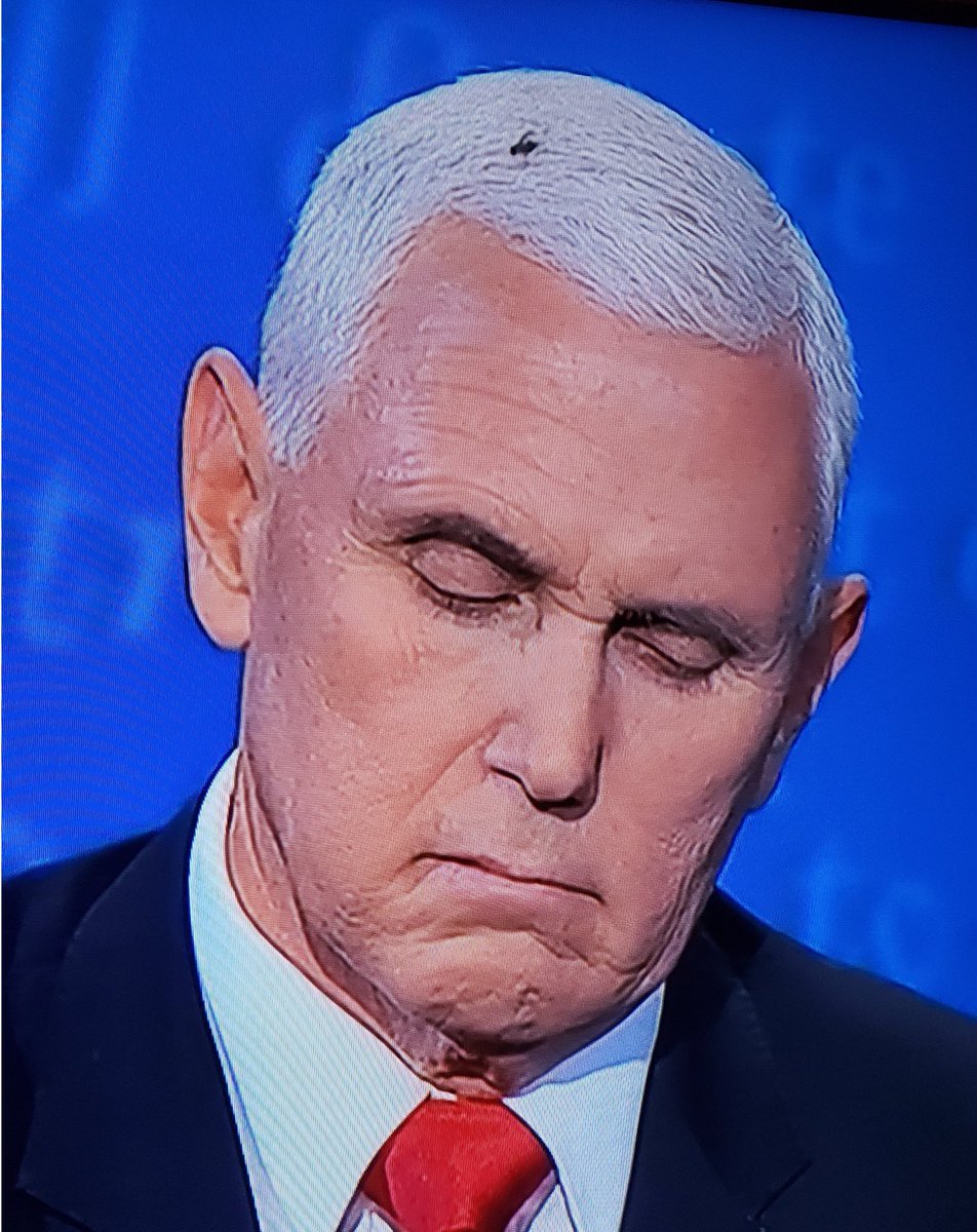 TheEdCohen's tweet photo. .@Mike_Pence you have a fly in your hair. Maybe it smells the bull coming out of your mouth and wants a taste but we don't!

#FlyAwayPence
#VoteBlueToEndThisNightmare 
#VOTE https://t.co/4Dt94BLaSX