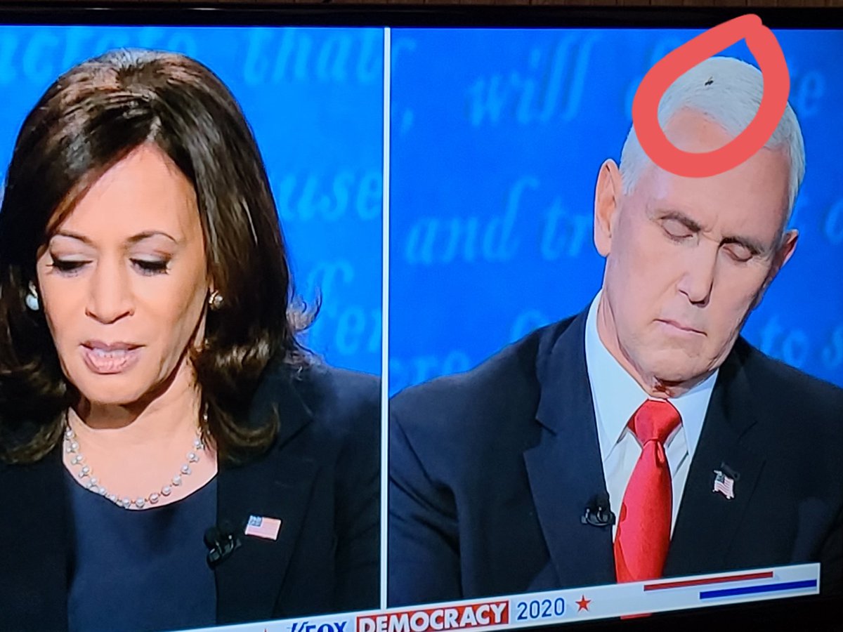 Is that a fly on <a href="/Mike_Pence/">Mike Pence</a> head? Lo que pasa es que es una mierda #VPDebate