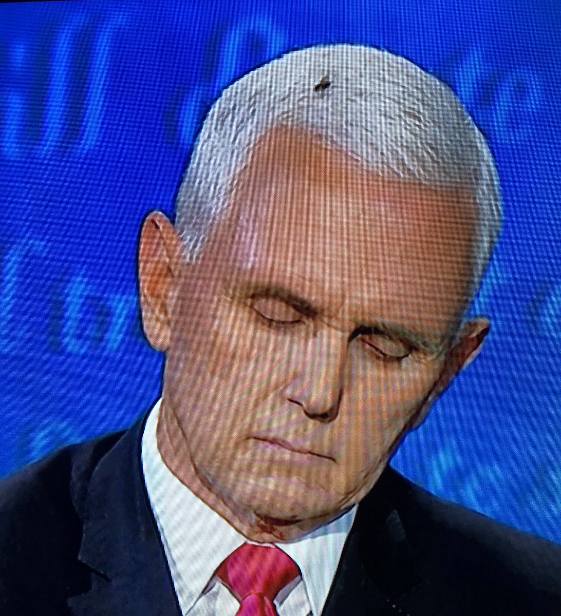gibsonoma's tweet image. This is the single funniest thing that has ever happened. #VPDebate