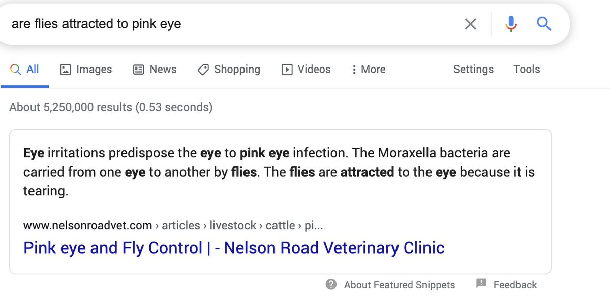 ashleyfeinberg's tweet image. lmao