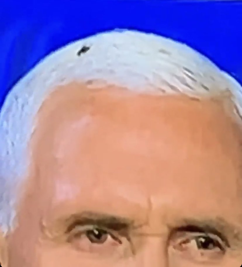 #VPDebate #VPDebates #Drawntoshit