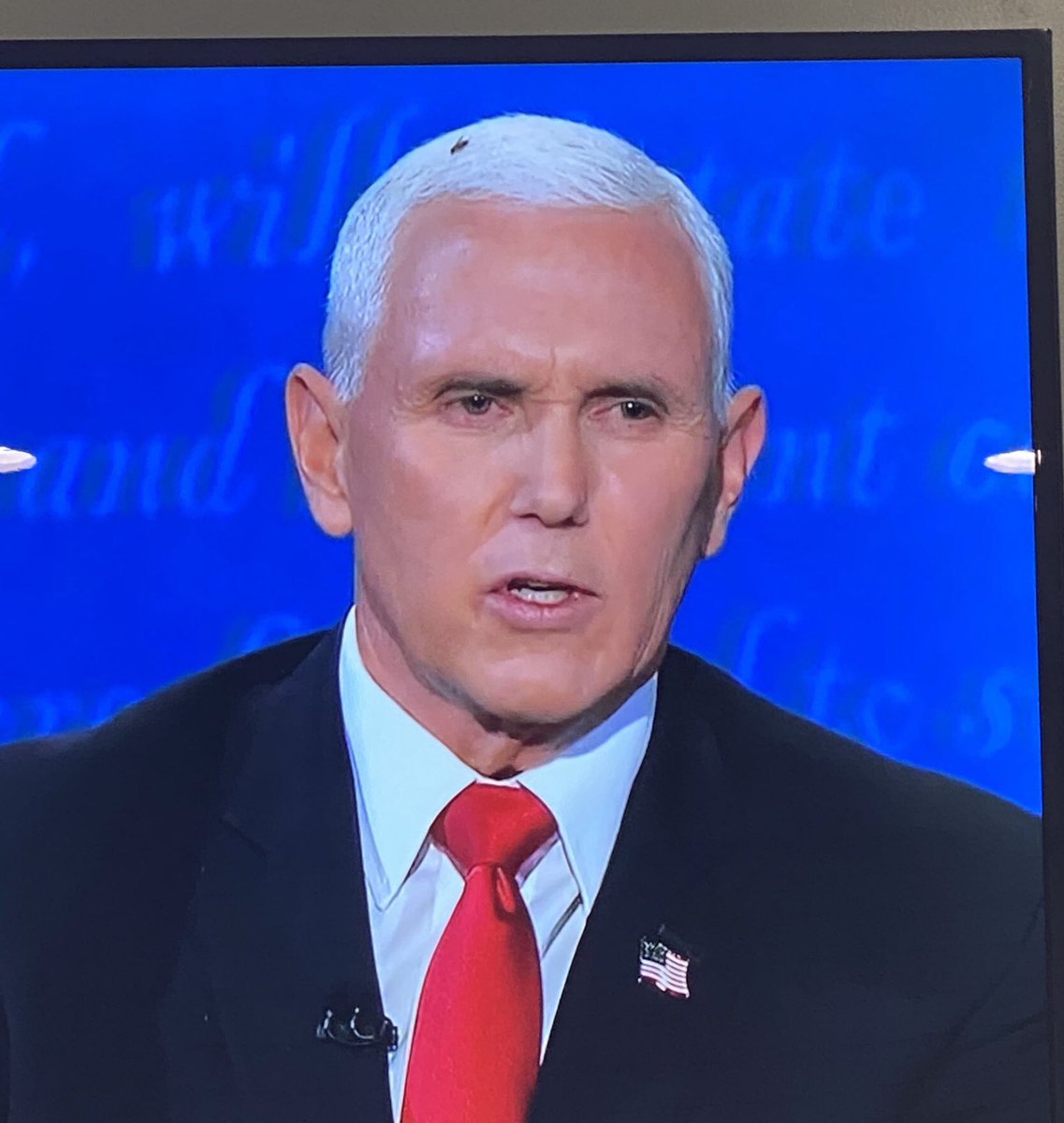 RisingJunkiri's tweet photo. Usually Flies are attracted to ......  #VPDebate https://t.co/NChOaGC0P4