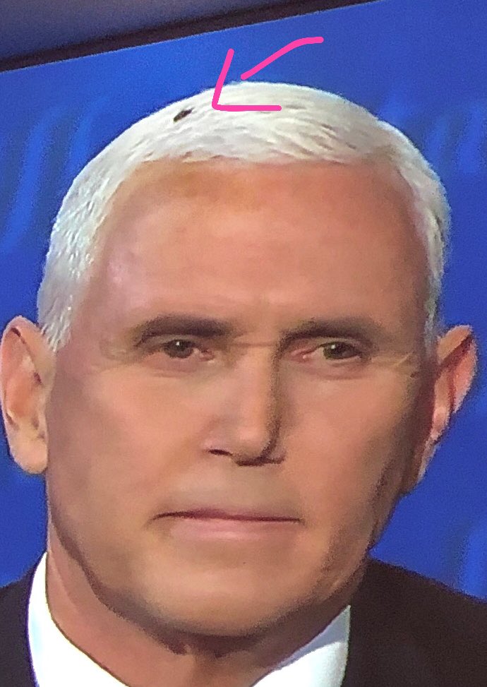 Siri Anderson tweet media