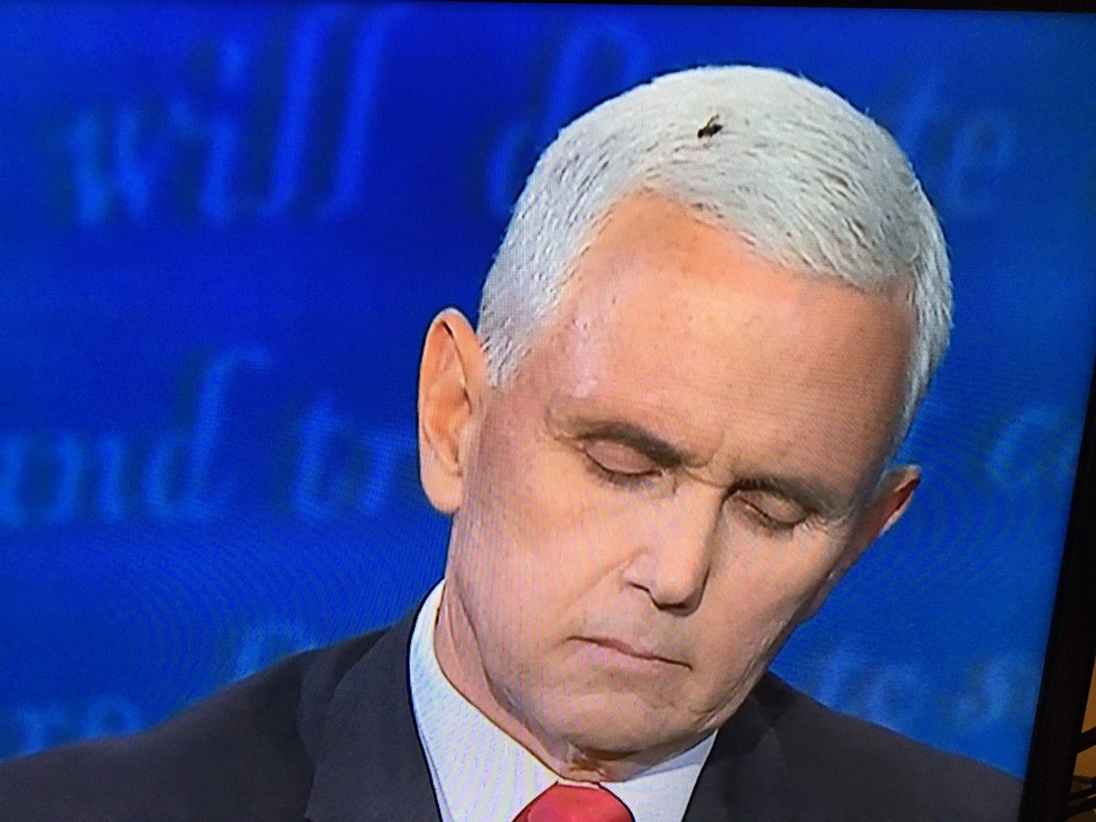 pdanahar's tweet photo. So the most memorable moment of the #VPDebate2020 was delivered by the fly. https://t.co/FEtLb2YKFS