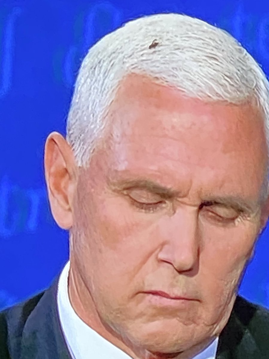 JustChrisSabat's tweet image. Blah blah blah debate debate CANT PAY ATTENTION BECAUSE A FLY WONT LEAVE PENCE’S HEAD!!