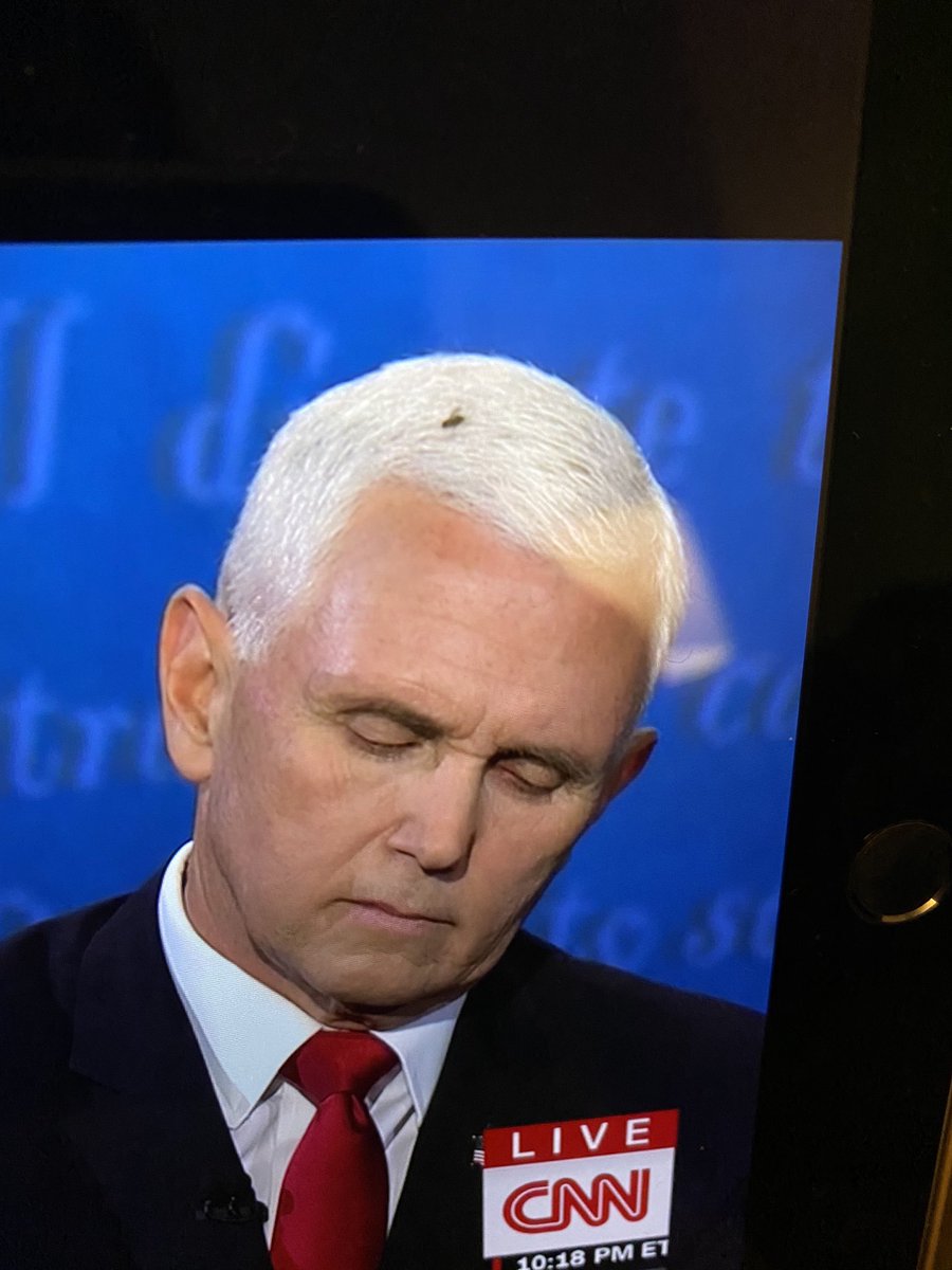 SpringP1's tweet image. Was that a fly on his head? 🤣 #debates #Debates2020