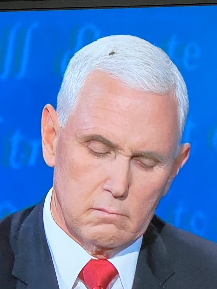 The Fly on Mike Pence’s Head tweet media