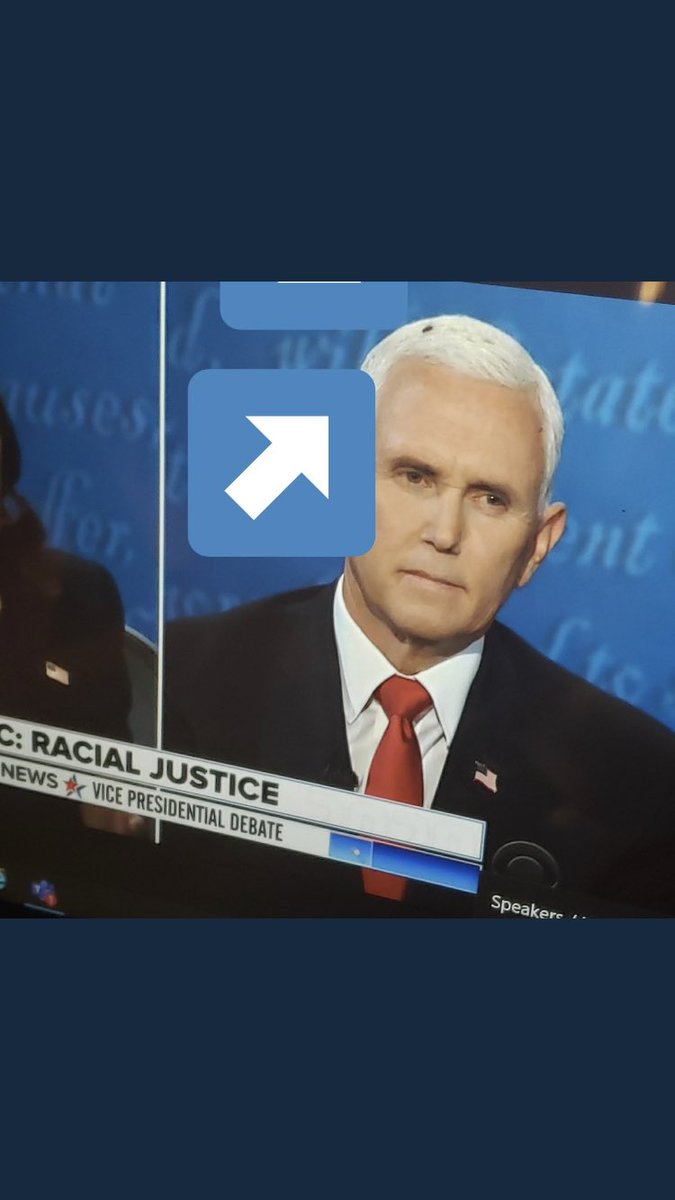 JetP's tweet photo. Clearly the fly knows he’s a lying piece of shit #VPDebate https://t.co/YLAvWlBFxK