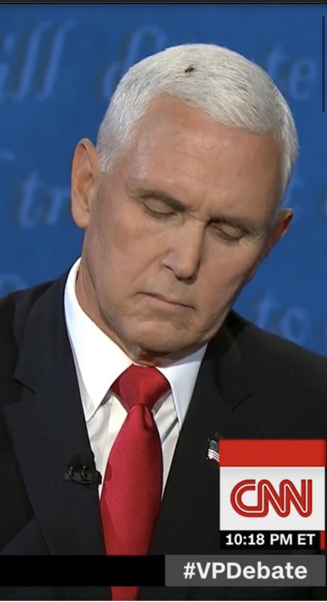 Should someone check Pence’s pulse? #VPDebate