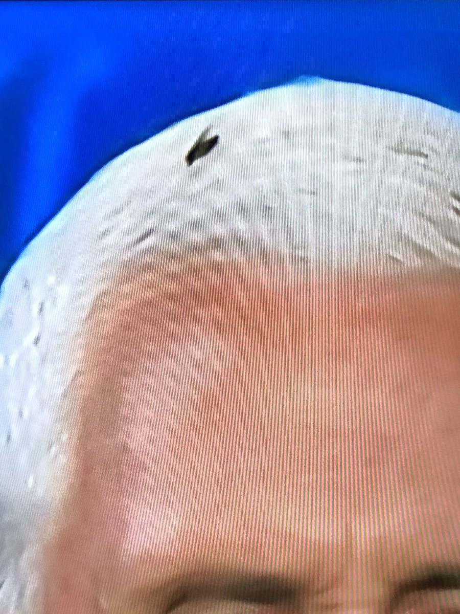 MarilynnMeeDJ's tweet image. Waiter, waiter!  There’s a fly in my debate!!! #VPDebate2020 #VPY