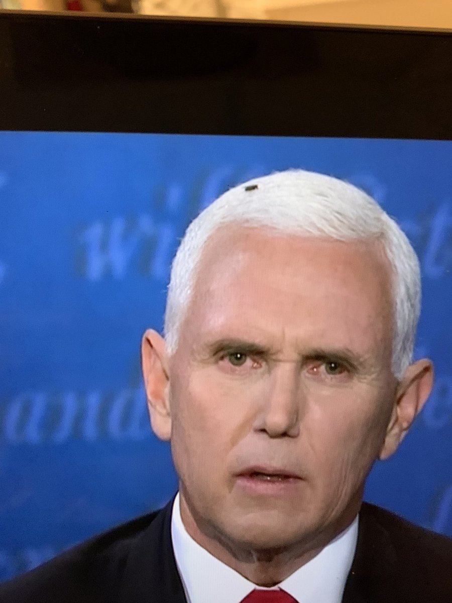 moonlightandust's tweet photo. @katsucrea YESSS anyway lemme add to the hashtag
#SHUTUP #SHUTUP #ShutUpMike #SHUTPENCEUP yeah we’re unified around hating you
You have the moral compass of a rotting corpse, thanks @tthienanguyen for the screenshot https://t.co/DsNSMcetQT