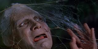 Wow, Pence's hair in HD right now is wild. #VPDebate
