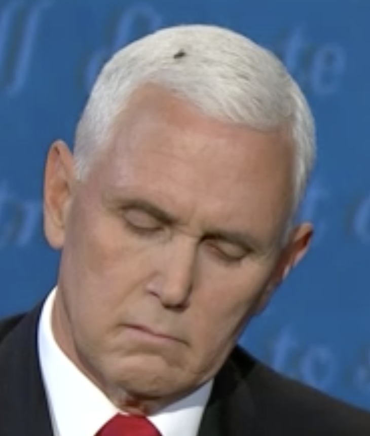 Shit does attract flies...... <a href="/CNN/">CNN</a>