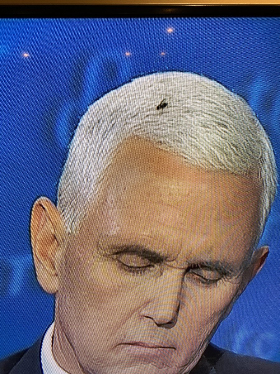 millvalleyjen's tweet photo. We're you a cow or a horse? How can u not feel the fly mike? #pencefly #flypencefly #flyforvp https://t.co/sTkbYSZX7m