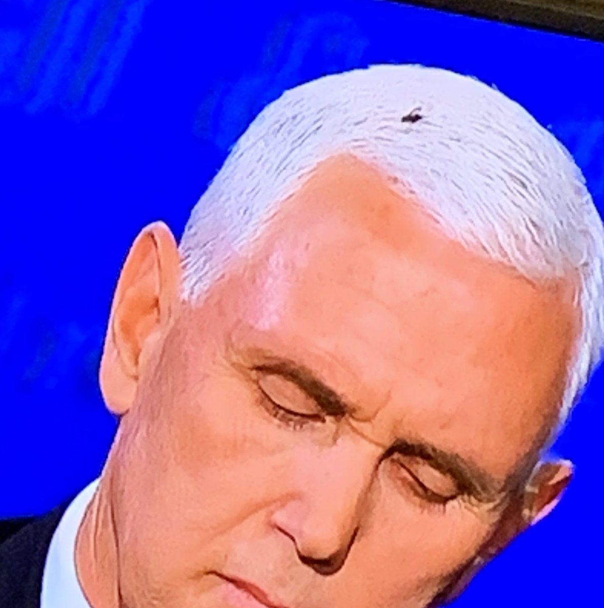 Irasema Coy tweet media