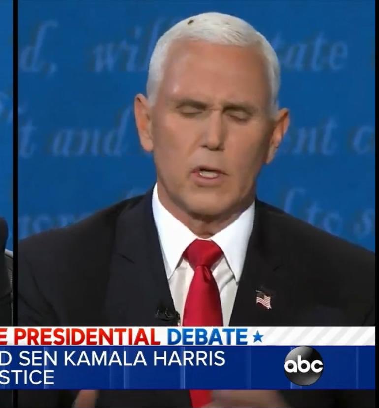 KemeashaSweets's tweet photo. @VP even the fly can smell the crap coming from you. https://t.co/OyAWeaAFCm