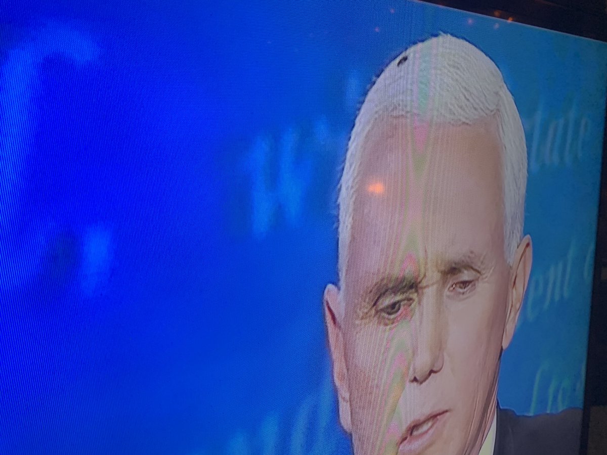 The fly don’t lie!!!