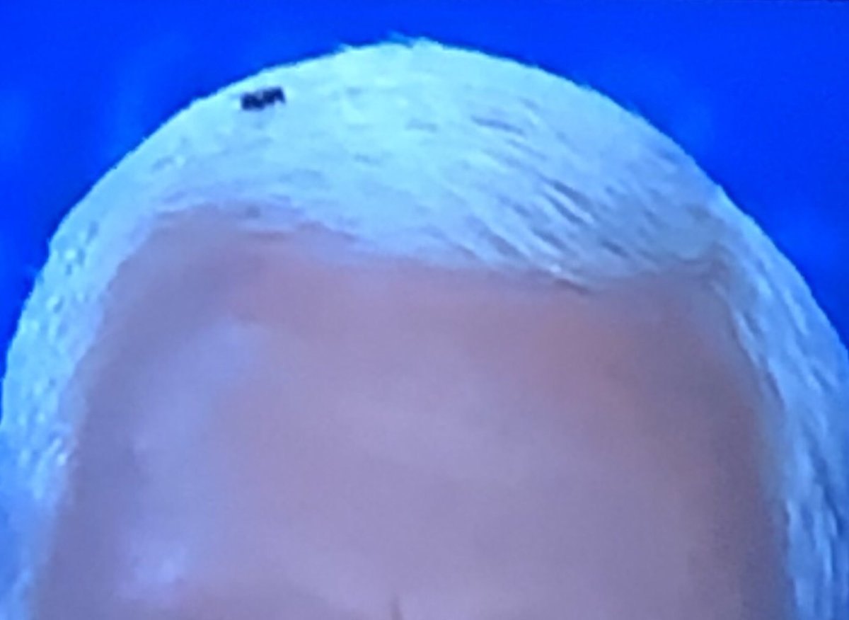 Julie Loso tweet media