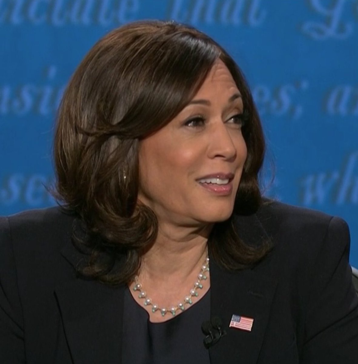 ImTheFly's tweet image. “This dumb mfer got a fly on his head🥴” -@KamalaHarris