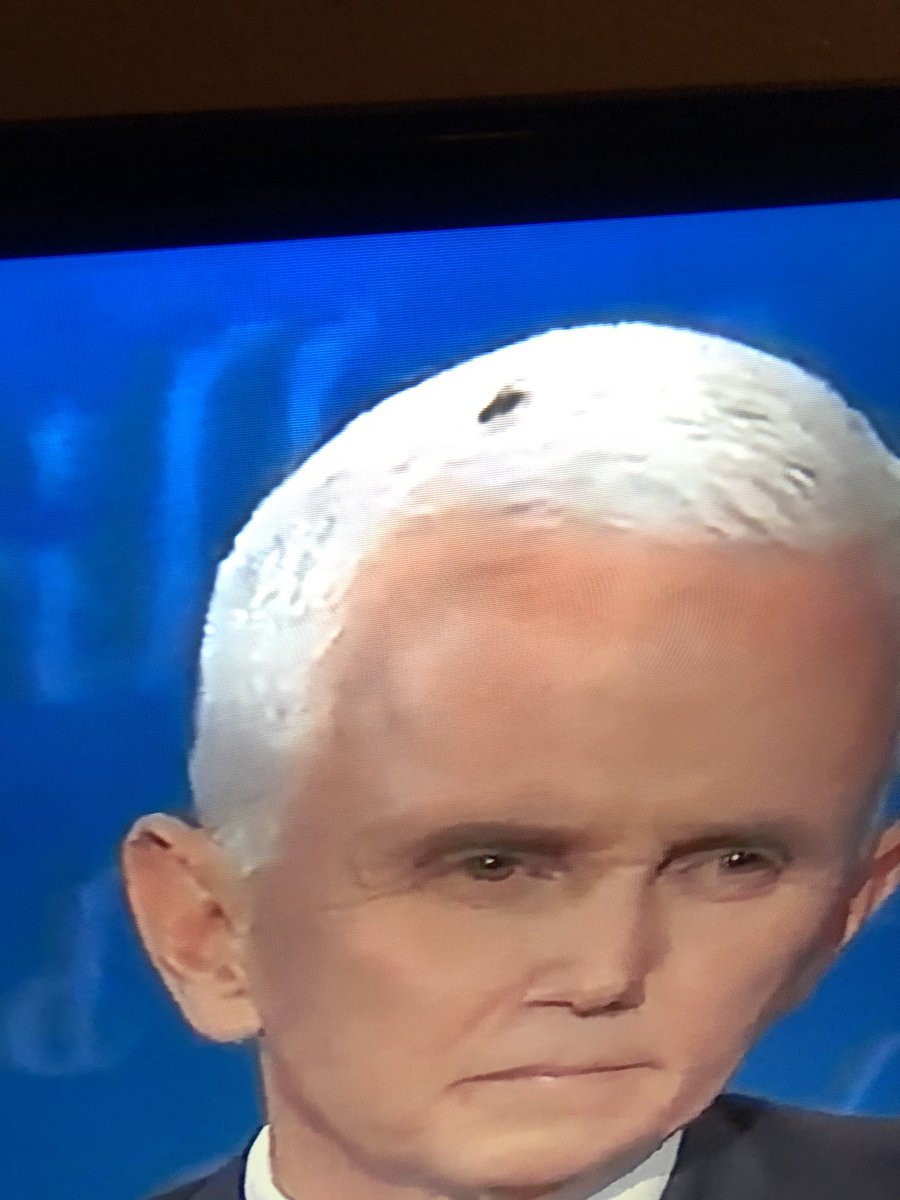 TheRetroDiva's tweet photo. How fitting #flieslikeshit #Debates2020  #BidenHarris2020 https://t.co/dHLVQcDY2i