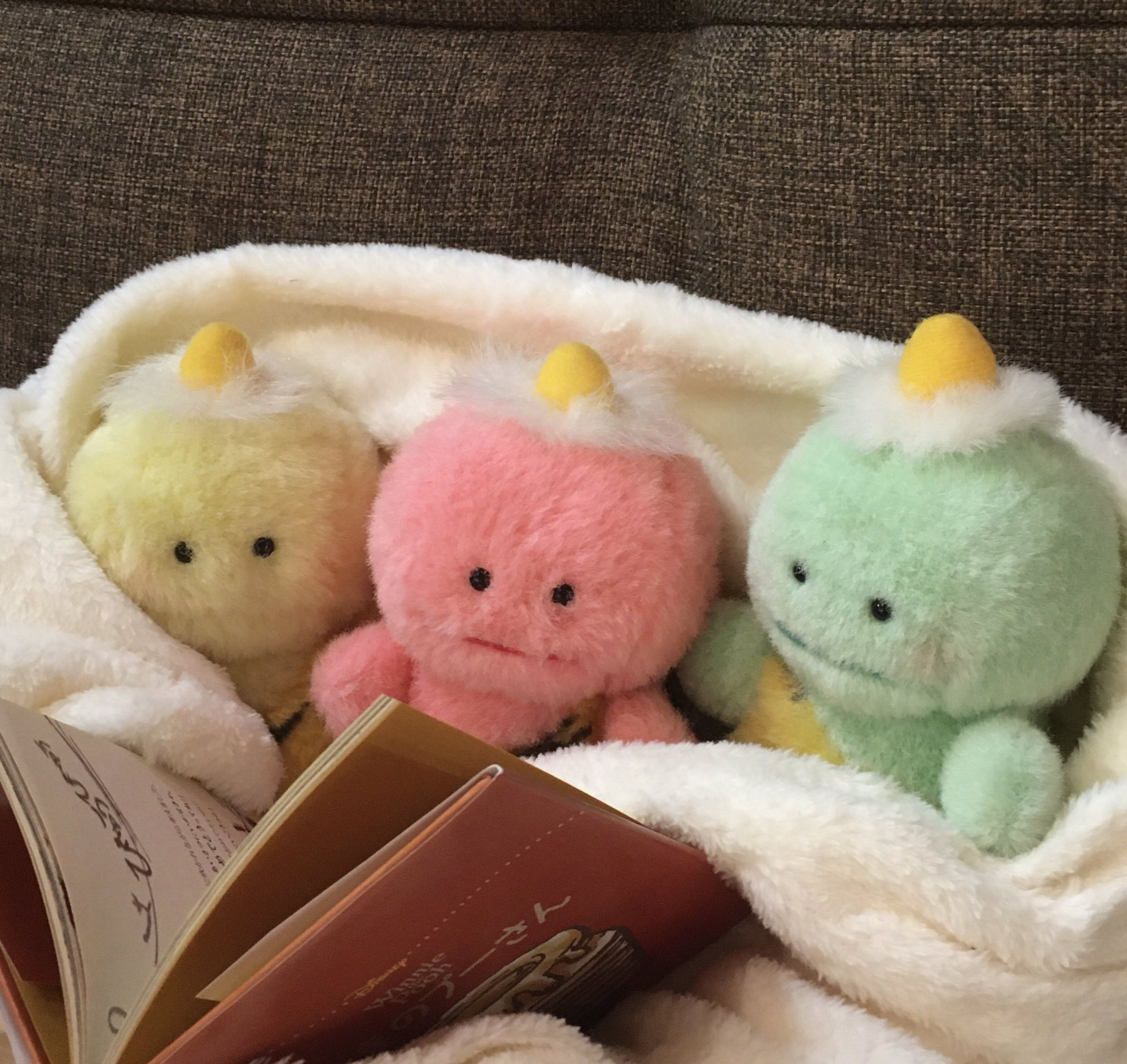 ピカポン 雨が降ってて寒いから 毛布にくるまって絵本読んでるの もふもふ ぬくぬく もふようび ちょっと前まで暑いって言ってたのがウソみたい ピカポン ぬい撮り ぬいどり セキグチ ぬいぐるみ もふようび T Co Pesfibvkq4 Twitter