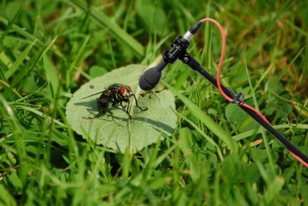 ImTheFly's tweet image. #PostDebate Yeah, I think @KamalaHarris won that one.