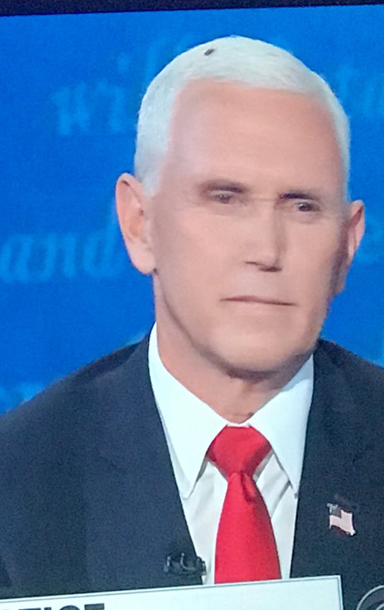 WhyHesSingle's tweet image. Flies are attracted to big piles of 💩