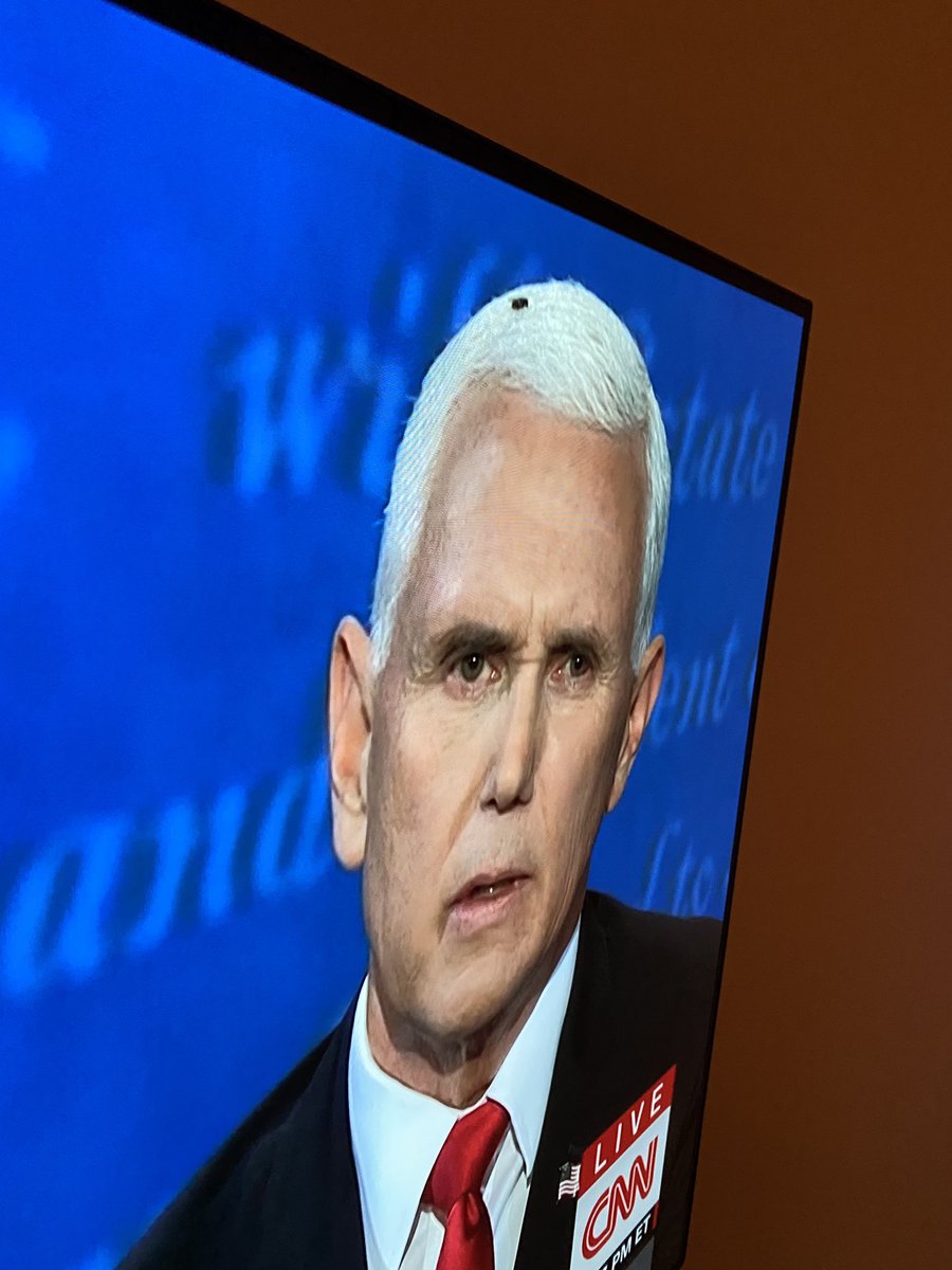 MarthaHunt's tweet image. i think he died on there