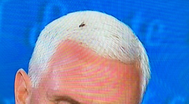 HalifaxTrivia's tweet photo. The BS coming out of Pence's mouth is literally attracting flies.  #debatefly #fliestoshit https://t.co/z6U5oL2T1w