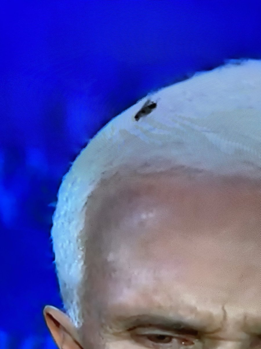 FootballPosts's tweet image. Pretty fly on a white guy