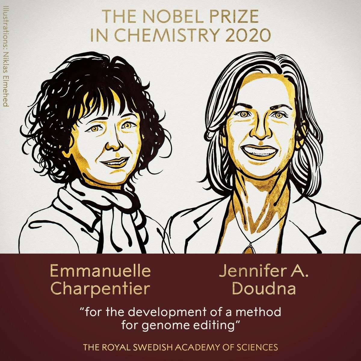 Congratulations to #WomenInScience #WomenInSTEM #NobelPrize2020