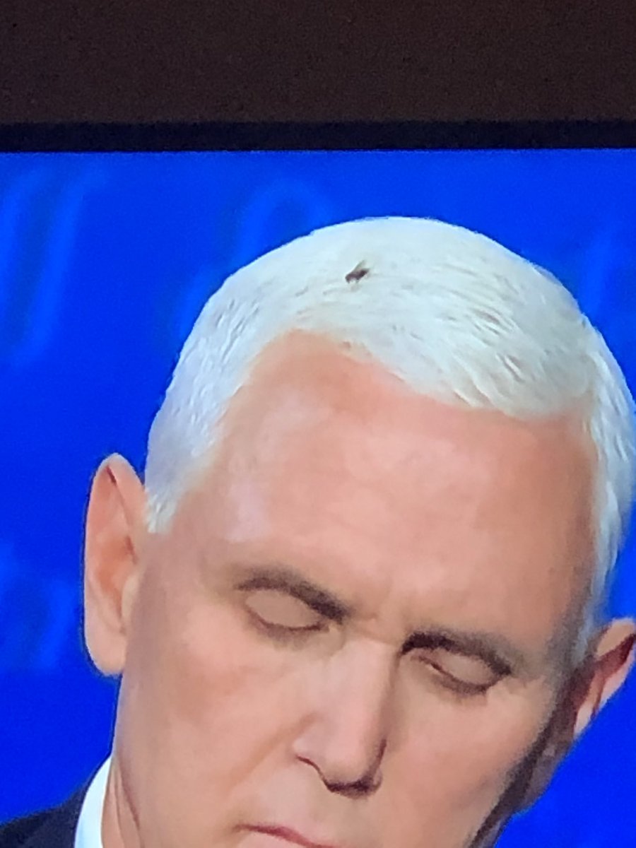 StringTheory_'s tweet image. Lord of the Flies in the house! #2020debate